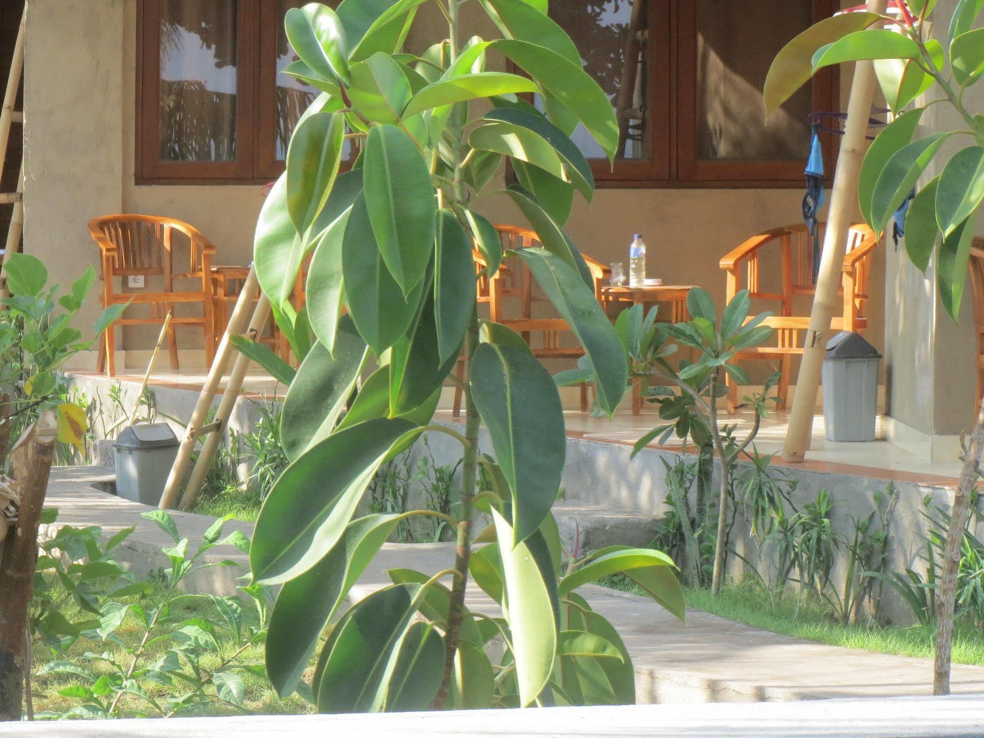 Amed Sari Beach Guesthouse מראה חיצוני תמונה